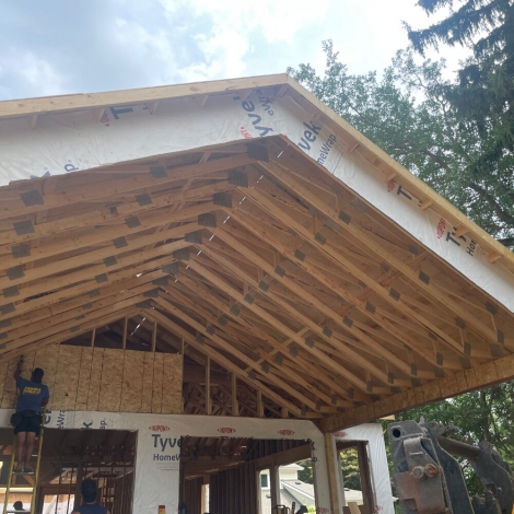 Safeguard Roof Trusses Against Termites